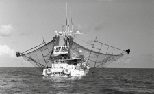 Bait Trawler / Main Image
