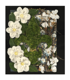 Magnolia Swamps (Dark Green) / Main Image