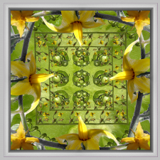 Tomato Mandala / Main Image