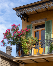 Balcony Oleander / Main Image
