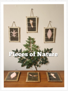 Pieces of Nature, display