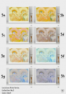 Louisiana Bird Series - Collection No.5 - Color Chart