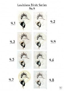 Louisiana Birds Series No.4 - Color Chart