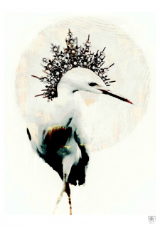 Louisiana Birds Series No.4 (1)