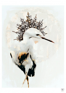 Louisiana Birds Series No.4 (5)