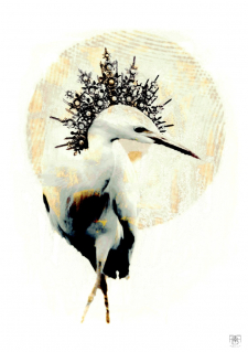 Louisiana Birds Series No.4 (7)