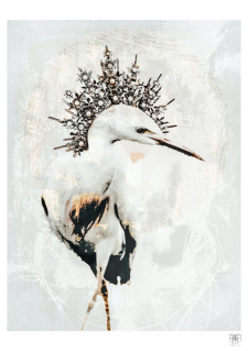 Louisiana Birds Series No.4 (8)