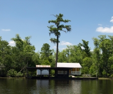River Shots Louisiana House / Main Image