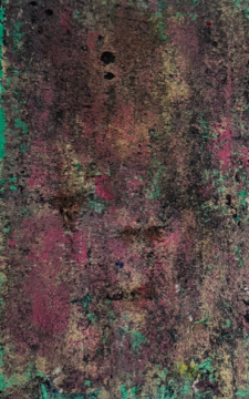 "Flowers in a Field" / Main Image