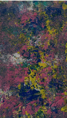 "Trap Spring" / Main Image