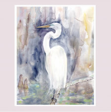 Amethyst Egret / Main Image