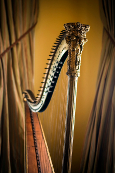 Golden Harp / Main Image