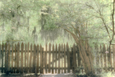 Tranquility / Main Image