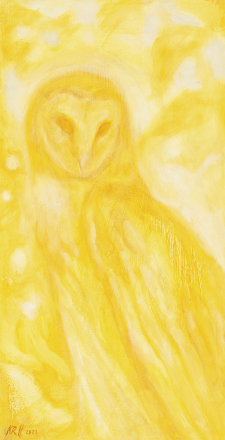 Yellow Owl / Main Image