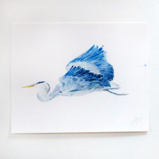 Blue Heron in Flight / Main Image