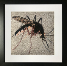 Mosquito  Metallic Lustre Fine Art Print / Main Image