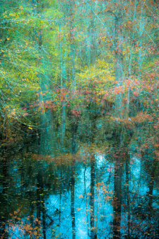 leaf color landscape - 3522 / Main Image