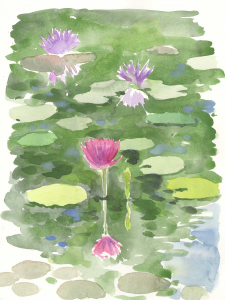 Lotus Pond / Main Image