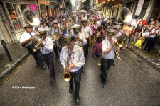 Marching Brass Band / Main Image