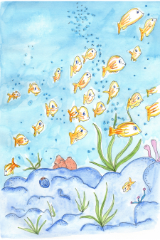 Happy Goldfish / Main Image