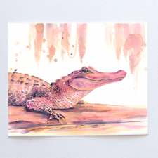 Pink Gator / Main Image