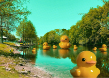 Rubber Duck Pond / Main Image