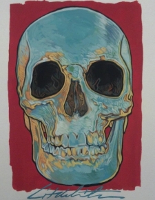 Skull Study 1 / Main Image