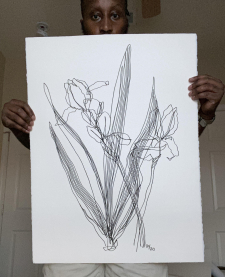 Irises / Main Image